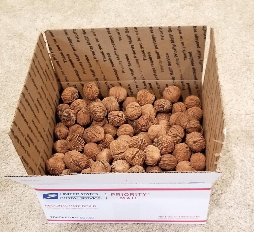 nuts_in_shipping_box